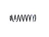 SPRING FRONT COIL - image 3