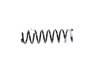 SPRING FRONT COIL - image 2