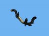 TUBE CHARGE AIR COOLER - image 2