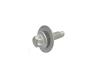SCREW - image 1