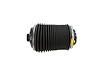 SPRING AIR SUSPENSION - image 1