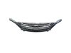 GRILLE RADIATOR - image 3