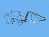 WIRING BODY RIGHT - image 2