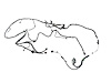 WIRING CHASSIS - image 1