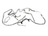 WIRING CHASSIS - image 2