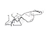 WIRING CHASSIS - image 1