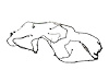WIRING CHASSIS - image 1