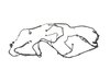 WIRING CHASSIS - image 3