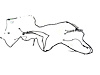 WIRING CHASSIS - image 1