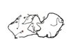 WIRING CHASSIS - image 2