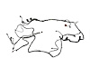 WIRING CHASSIS - image 1