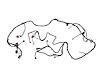 WIRING CHASSIS - image 1