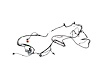 WIRING CHASSIS - image 1