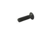 SCREW - image 2