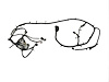 WIRING FRONT END MODULE - image 1