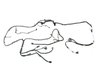 WIRING CHASSIS - image 3