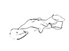 WIRING CHASSIS - image 1