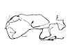 WIRING CHASSIS - image 1
