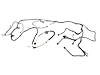 WIRING CHASSIS - image 1