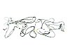 WIRING BODY - image 1