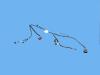WIRING A/C AND HEATER - image 1