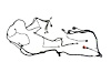 WIRING CHASSIS - image 1