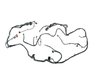 WIRING CHASSIS - image 2