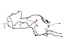 WIRING CHASSIS - image 1