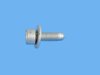 SCREW - image 3