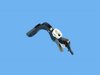 BRACKET BRAKE PEDAL - image 2