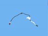 WIRING JUMPER - image 2