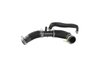 HOSE RADIATOR OUTLET - image 4