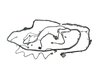 WIRING CHASSIS - image 3