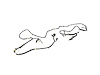 WIRING CHASSIS