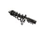 STRUT REAR SUSPENSION - image 2