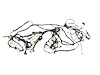 WIRING BODY - image 1