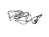 WIRING CHASSIS - image 1
