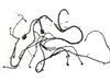 WIRING CHASSIS - image 3
