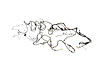 WIRING UNIFIED BODY - image 1