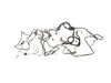 WIRING UNIFIED BODY - image 2