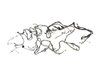 WIRING UNIFIED BODY - image 3