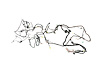 WIRING UNIFIED BODY - image 1