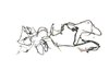 WIRING UNIFIED BODY - image 3