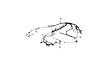 WIRING ENGINE - image 1