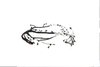 WIRING ENGINE - image 2