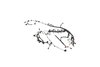 WIRING ENGINE - image 3