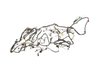 WIRING UNIFIED BODY - image 3