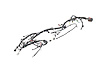 WIRING ENGINE - image 1
