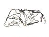 WIRING BODY - image 3