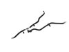 HOSE COOLANT BOTTLE INLET - image 2